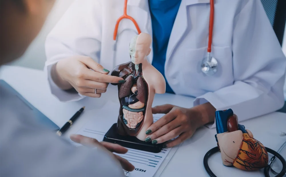 Internal Medicine